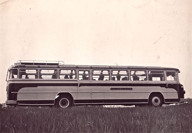 Onze straat had bijeengelegd voor een reisbus toen plotseling iemand opmerkte dat niemand daar een rijbewijs voor had.